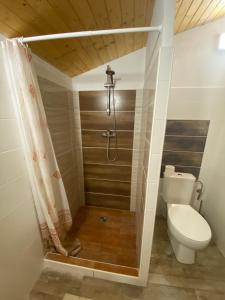 Gaboltovchata Derikovo的浴室设有卫生间和带浴帘的淋浴。