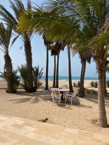 CabeçadasVilla Nº 25 Alfredo Marchetti Suites on the Beach,Praia de Chaves BV的棕榈树海滩上的桌椅