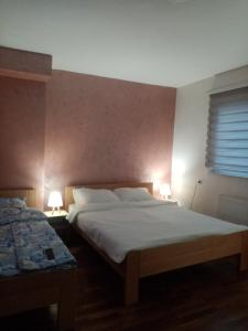 帕莱Apartman Perkovic的一间卧室配有两张床和两盏灯。