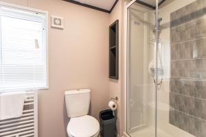 ThorntonBushmills Lodge with Hot Tub的一间带卫生间和淋浴的浴室