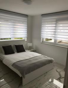 上阿斯巴赫Luxusvilla Neubau 2的一间卧室设有一张大床和两个窗户。