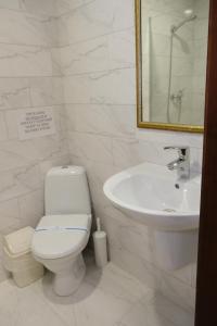 日托米尔Лісовий готель Гайки的白色的浴室设有卫生间和水槽。