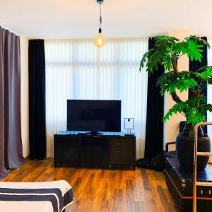 曼海姆高层公寓的一间配有电视和盆栽植物的客厅