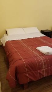 卡瓦纳科德Las Palmeras Eco Hostel的一张带红色毯子和白色枕头的床