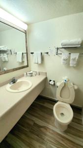 奥兰多电影世界酒店的一间带水槽、卫生间和镜子的浴室