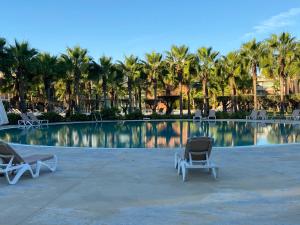 吉亚Herdade dos Salgados - Apartamento T2的两把躺椅坐在棕榈树游泳池旁