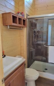 瓦莱073 Tiny Home nr Grand Canyon South Rim Sleeps 8的一间带卫生间和玻璃淋浴间的浴室