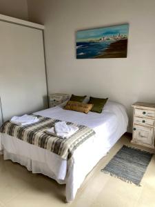 埃斯克尔Terrazas de la Patagonia的卧室配有一张床,墙上挂有绘画作品