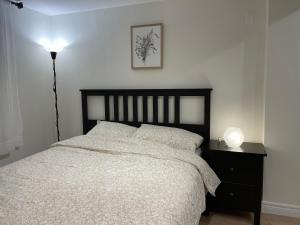 米西索加MT house的一间卧室配有一张床和一个带灯的床头柜