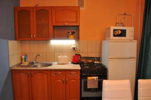 克列缅丘格Spacious apartment with balcony的一间带水槽和冰箱的小厨房