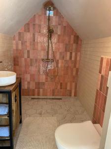 埃尔瑟尔Luxe Finse Kota met Jacuzzi en SaunaBarrel de Zandhoef的带淋浴、卫生间和盥洗盆的浴室
