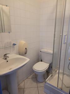 圣马迪拉莫Le Cocardier的浴室配有卫生间、盥洗盆和淋浴。