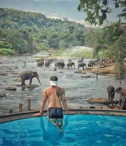 平纳瓦拉大象湾酒店的一群大象在水中的一个男人