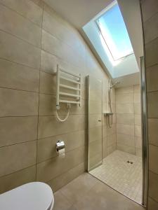 奈达Dvi Nidos的带淋浴、卫生间和天窗的浴室