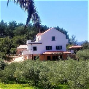 斯塔里格勒Lavender Hill Hvar Villa - pool, jacuzzi,sauna,BBQ的山顶上的大型白色房屋