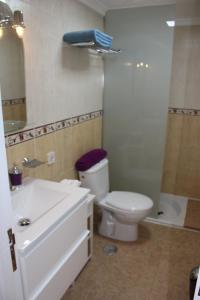 英格兰海滩Tropical Canary Home - Playa Del Ingels的浴室配有卫生间、淋浴和盥洗盆。
