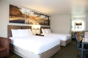 门罗门罗戴斯酒店的酒店客房配有两张床和一张书桌