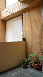 员林棲息所 Habitat Inn的砖墙旁的盆栽室