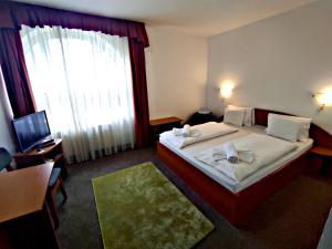 哈卡尼Átrium Hotel Harkány的酒店客房设有床和窗户。