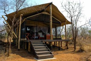 曼耶雷蒂野生动物园Honeyguide Tented Safari Camps - Mantobeni的相册照片