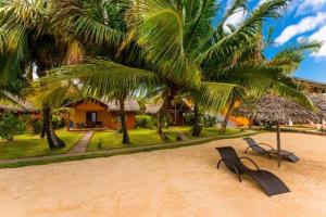 圣玛丽凡尼维拉酒店的棕榈树海滩上的几张长椅