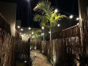 圣米格尔-杜斯米拉格里斯Naim Milagres的棕榈树在晚上围栏前