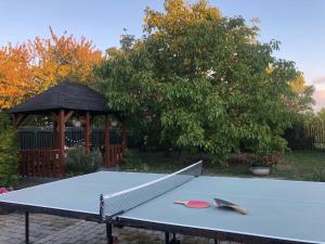 赞考Sunny Garden的凉亭前的乒乓球桌