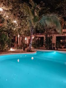 图卢姆Trece Lunas Tulum - Adults Only Enchanted Resort的棕榈树的游泳池