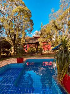 布鲁马迪纽Sitio Cores da Mata的一座种植了植物的蓝色游泳池,位于一座房子前面