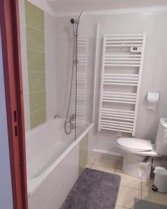 西格Studio Vue Mer Circuit Paul Ricard - Domaine Securisé的白色的浴室设有卫生间和淋浴。