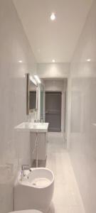 博洛尼亚Strada Maggiore 37的白色的浴室设有水槽和卫生间。