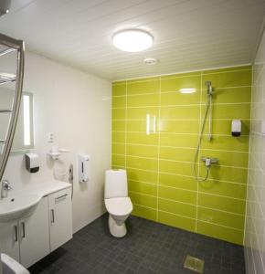 ArtjärviBed and Breakfast Artjärvi的一间带卫生间和绿色墙壁的浴室