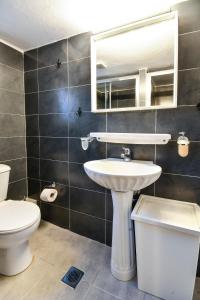 塞萨洛尼基Thessaloniki Center Apartment的一间带水槽、卫生间和镜子的浴室