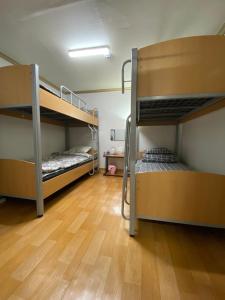 江陵市Saesori Guesthouse的铺有木地板的客房内设有两张双层床。