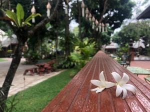 清迈Romsak Lanna Resort Chiang Mai的木桌上两朵白色花