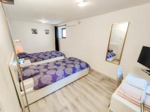 圣路易Tranquil City Haven close to Airport & Basel的一间卧室配有一张紫色的床和镜子