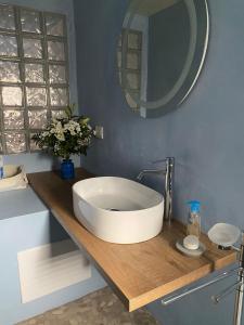 卡洛福泰Le Vele Carloforte的浴室设有木制柜台上的白色大水槽
