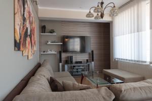 大特尔诺沃Apartment Veda的带沙发和电视的客厅