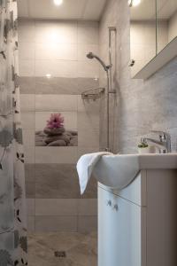 大特尔诺沃Apartment Central-LUX 1的一间带水槽和淋浴的浴室