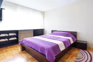 贝尔格莱德Big Blue Apartment - Belgrade的一间卧室配有一张带紫色毯子的床