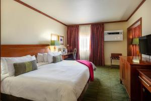 哈博罗内哈博罗内大棕榈皮尔蒙沃蒙特酒店的酒店客房设有一张大床和一台电视。