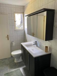 锡根Dorfschenke的一间带水槽、卫生间和镜子的浴室