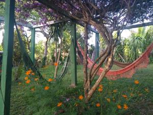伊尔哈德博伊巴Recanto Solar da Paz的花园里的吊床,种着鲜花