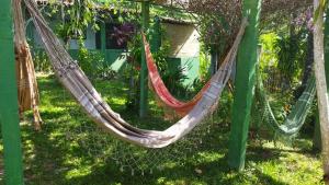伊尔哈德博伊巴Recanto Solar da Paz的花园内的吊床,带房子