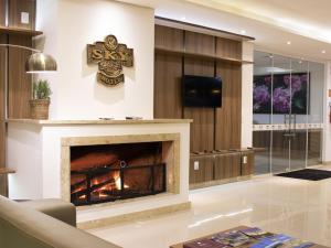 格拉玛多Sky Premium Hotel Gramado - Ótima Localização的客厅设有壁炉和电视。
