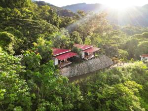 乌维塔Nature's Edge Boutique Hotel的森林中间房屋的空中景观