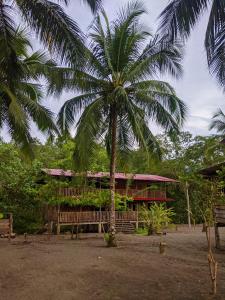 巴亚索拉诺Paraiso Escondido的一座带长凳的建筑前的棕榈树