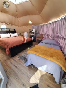 二十九棕榈村The Kosmic Tortoise的一间帐篷内带两张床的卧室