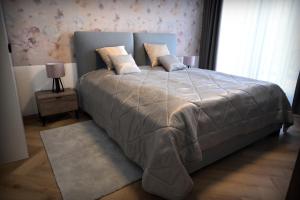 Šajdíkove HumenceApartmán Golfballs的一间卧室配有一张带灰色毯子的大床