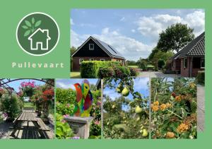 ElimPullevaart的房屋和花园照片的拼合